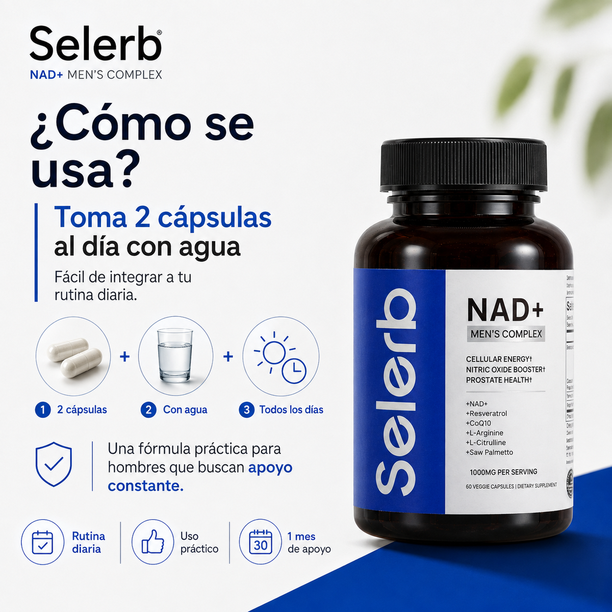SELERB® MEN’S COMPLEX | Bienestar Masculino